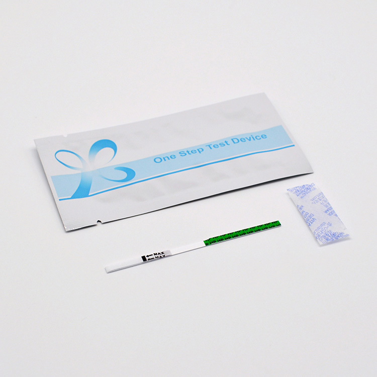 Striscia di Test di Antigene Pylori Rapid One Step H